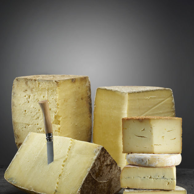 Uncooked pressed cheeses