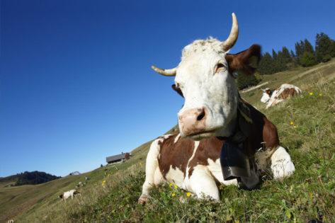 Responsible production performance