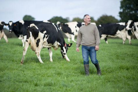 Economic and social performance