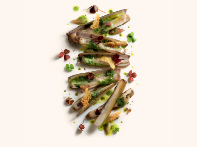 Razor clams with parsley butter